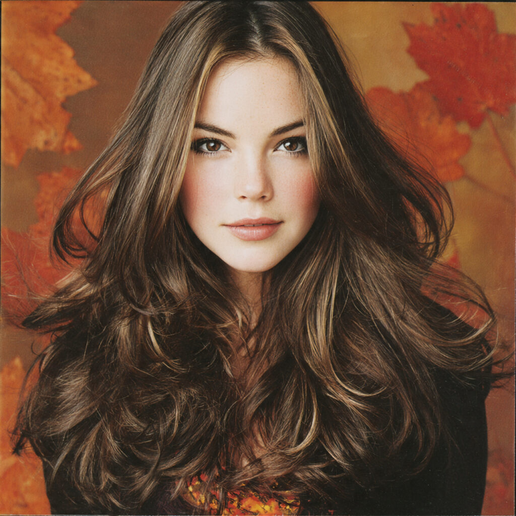 Maple-Cocoa Highlights