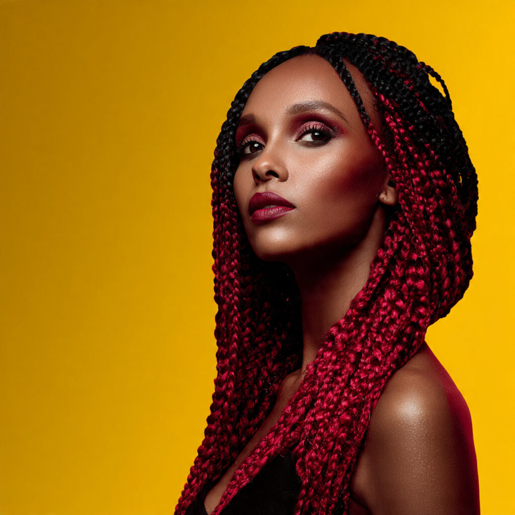 Ombre Box Braids Hairstyle Ideas